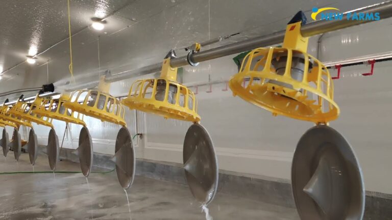 Herramientas Esenciales para la Higiene en la Avicultura