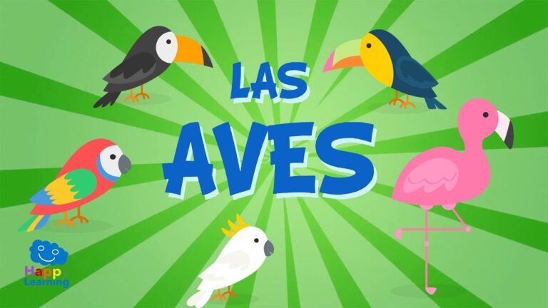 Juguetes Interactivos Esenciales para Aves Domésticas