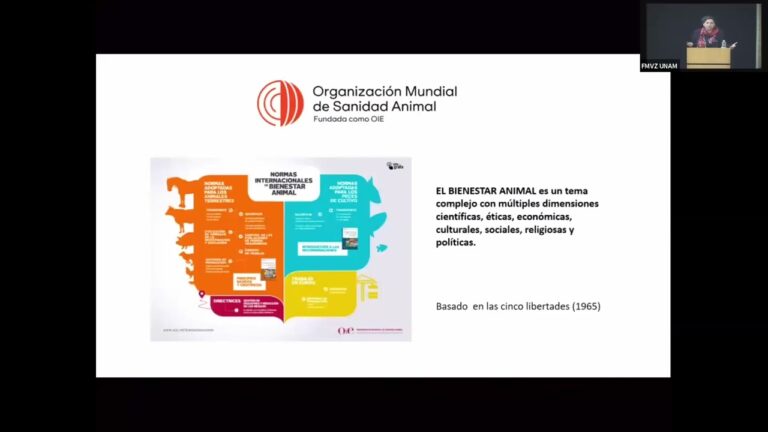 &Eacute;tica y Bienestar Animal: Fundamentos Esenciales de la Veterinaria