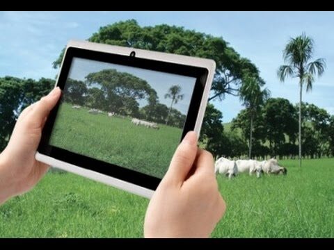 Innovaciones en Soluciones Tecnológicas para la Veterinaria Moderna