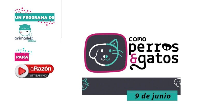 Innovaciones en Tecnolog&iacute;a Digital para la Rehabilitaci&oacute;n Veterinaria
