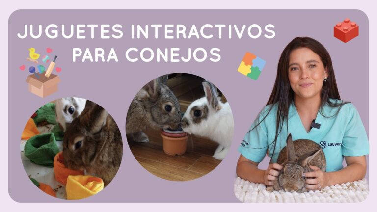 Crianza Responsable de Conejos: Salud y Veterinaria Esenciales