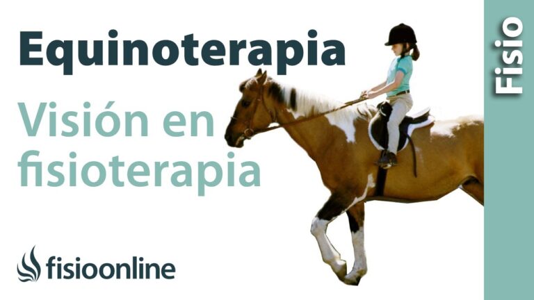 Derechos de los Animales en Terapias de Rehabilitaci&oacute;n