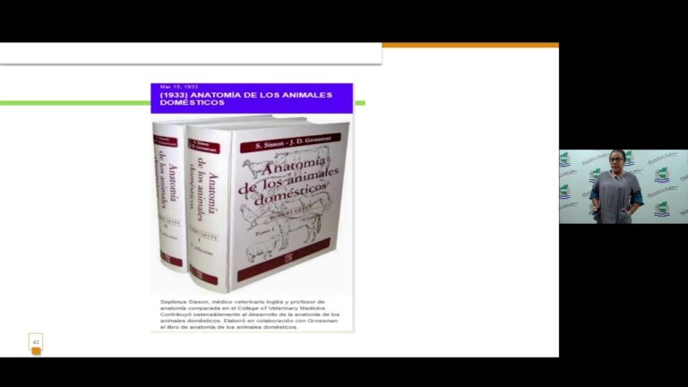 La Evolución de la Veterinaria a Través del Tiempo