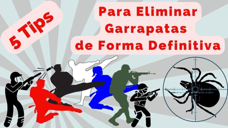 Garrapatas en Mascotas: Claves para una Higiene Adecuada