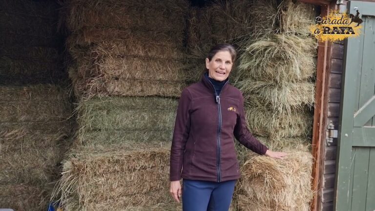 Prevenci&oacute;n Efectiva de C&oacute;licos en Caballos: Clave para su Salud