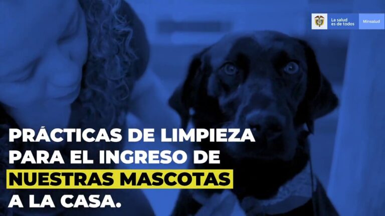 Rutina Esencial de Higiene para Mascotas