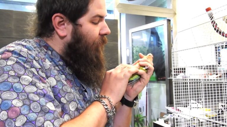 Consulta Veterinaria Especializada para Aves