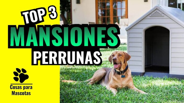 Mejores Casetas y Jaulas para Mascotas: Gu&iacute;a de Selecci&oacute;n