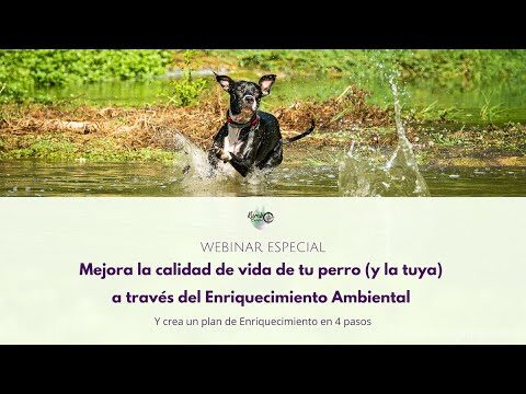 Mejorando la Calidad de Vida Animal con Enriquecimiento Ambiental