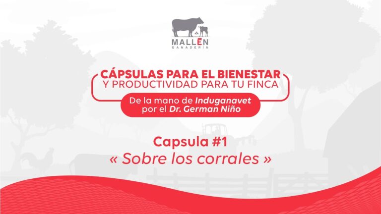 Veterinaria Especializada en Corrales Rurales: Soluciones Efectivas para el Bienestar Animal