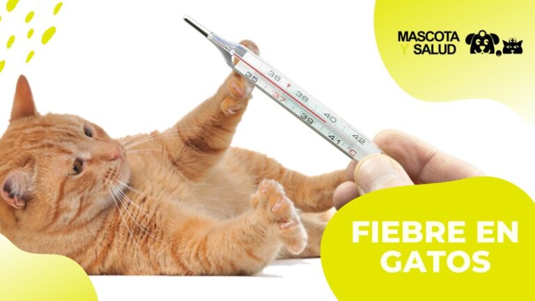 Vacuna Obligatoria: Prevenci&oacute;n de Leucemia en Mascotas