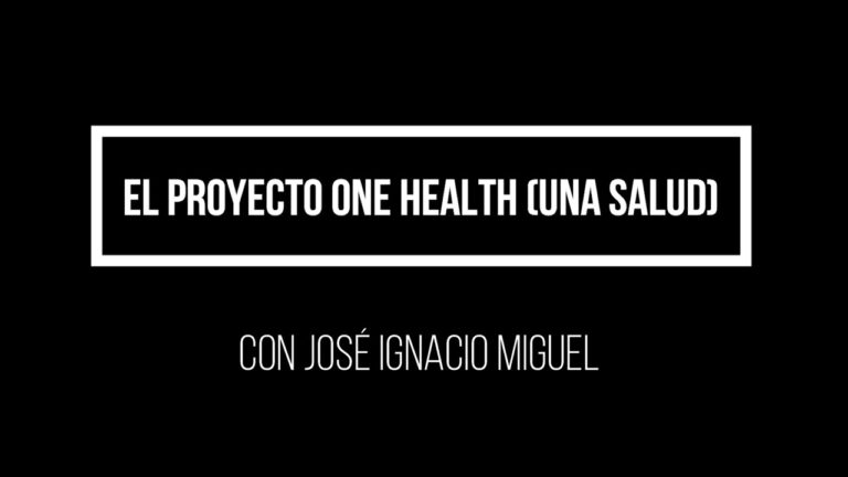 La veterinaria: clave para la salud de tus mascotas