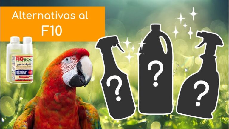 Consejos Pr&aacute;cticos para Limpiar Jaulas de Mascotas