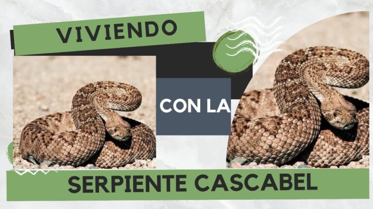 Consejos Esenciales de Seguridad para Convivir con Reptiles