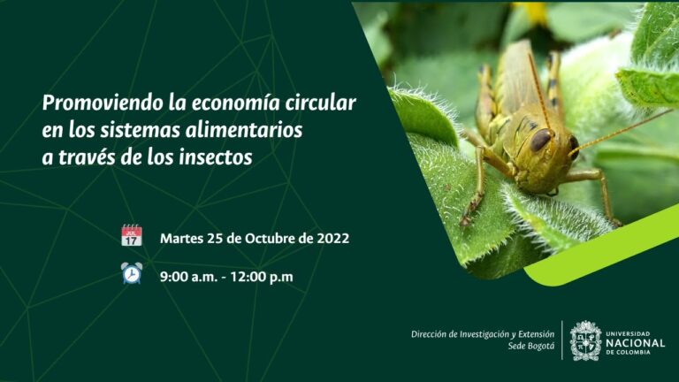 La Veterinaria Rural: Clave para la Diversificación Agrícola