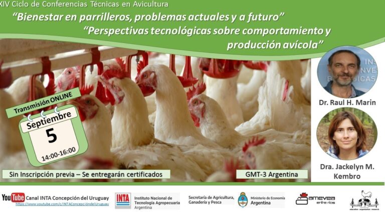 Conducta social en aves y bienestar: una conexi&oacute;n crucial