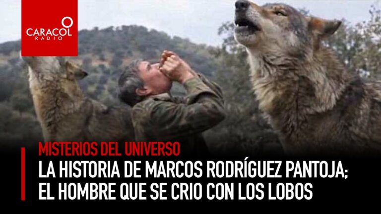 Misterios Hist&oacute;ricos sobre la Protecci&oacute;n Animal