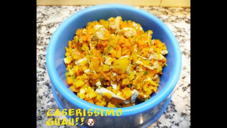 Nutrición Balanceada con Probióticos para Mascotas: Clave para su Salud