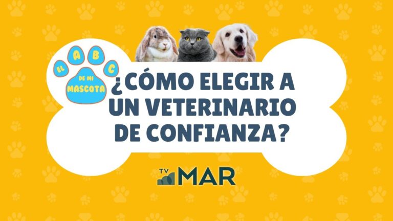 Guía para Elegir un Veterinario de Confianza para tu Mascota