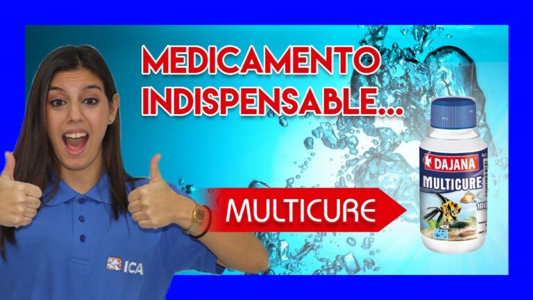 Salud Preventiva en Peces de Acuario: Claves para su Bienestar