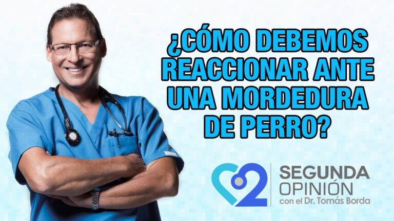 Consejos para Manejar Heridas Abiertas en Mascotas