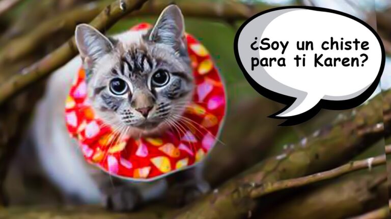 Consecuencias de No Esterilizar Peque&ntilde;os Mam&iacute;feros