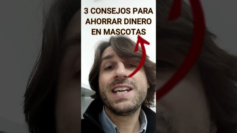 Consejos Econ&oacute;micos para Adoptar Mascotas Responsablemente
