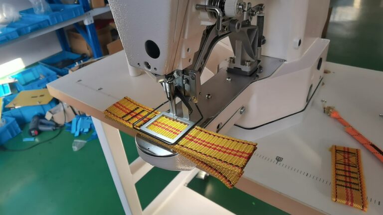 Correas y Collares de Calidad para Perros y Gatos: Gu&iacute;a Esencial