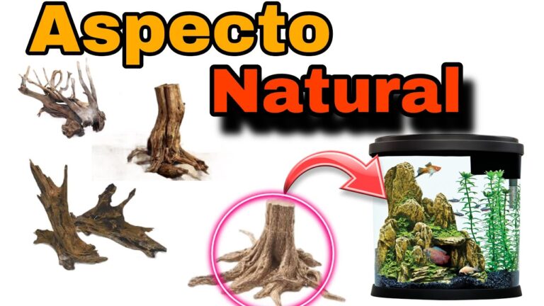 T&eacute;cnicas Efectivas de Curaci&oacute;n para Peces en Acuarios