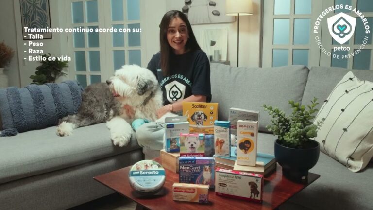 Desparasitaci&oacute;n de Mascotas: &iexcl;Protecci&oacute;n Esencial!