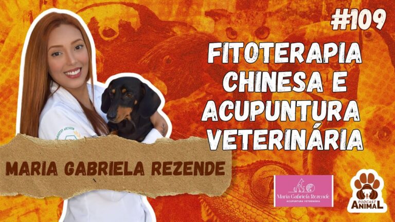 Fitoterapia en el Cuidado Animal: Beneficios y Aplicaciones