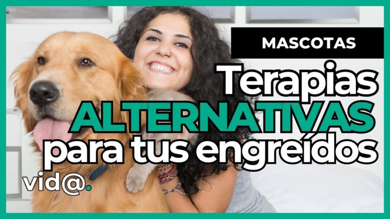 Curiosidades Animales y Terapias Alternativas: Un Enfoque Innovador