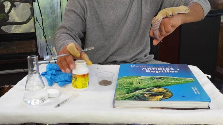 La importancia de la desparasitaci&oacute;n en reptiles