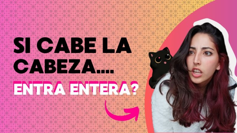 C&oacute;mo seleccionar los mejores accesorios para la salud dental de tus mascotas