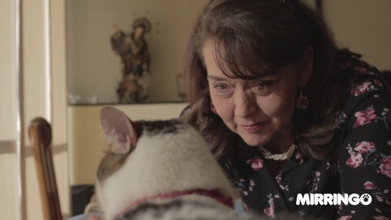 Armonizaci&oacute;n Energ&eacute;tica en Mascotas a trav&eacute;s de la Acupuntura