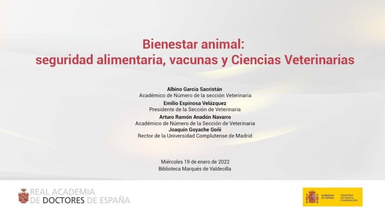 El Bienestar Animal en Terapia: Perspectiva Veterinaria