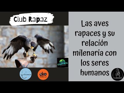 Aves en la Historia: Su Impacto en la Veterinaria