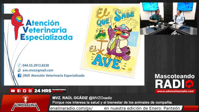 Bienestar Aviar y Atenci&oacute;n Veterinaria Efectiva