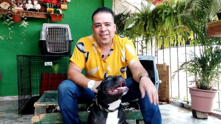 Gu&iacute;a para Elegir Productos de Cuidado de la Piel para Mascotas