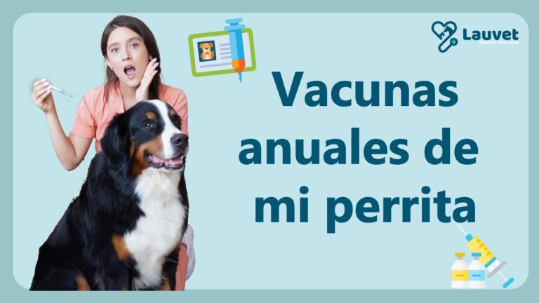 Leptospirosis: La clave de la vacunaci&oacute;n en perros y gatos
