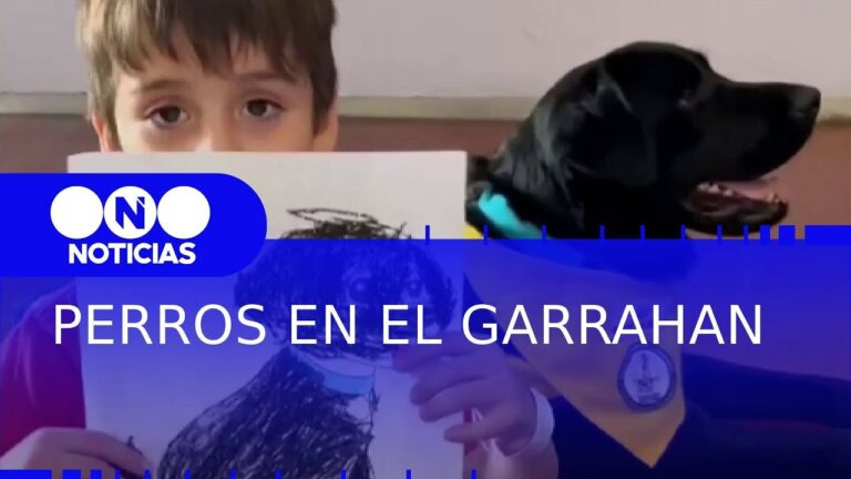 Rehabilitaci&oacute;n Asistida por Tecnolog&iacute;a en Veterinaria