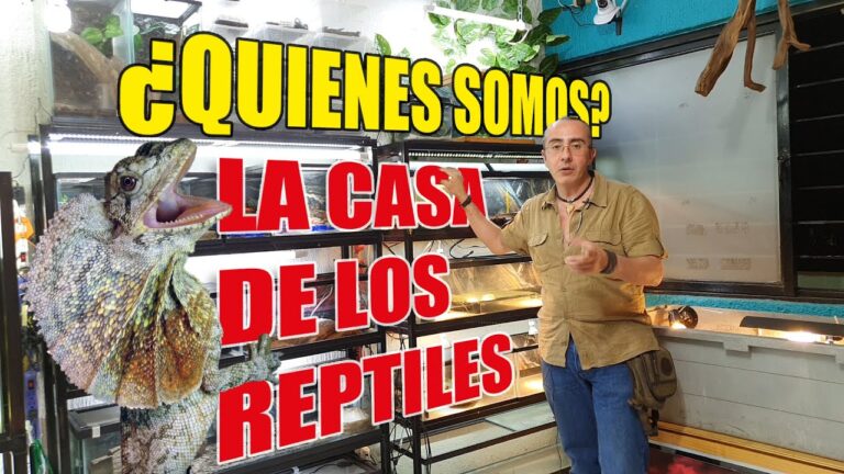 Gu&iacute;a Esencial para el Cuidado y Alimentaci&oacute;n de Reptiles Ex&oacute;ticos
