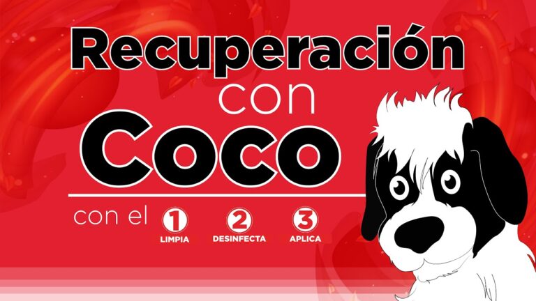 Rutina Ideal de Cuidado de la Piel para Mascotas