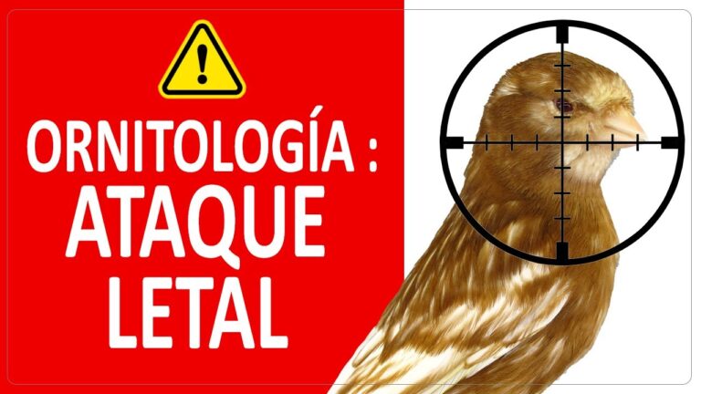 Bienestar Animal en la Cría Responsable: Claves para una Práctica Ética