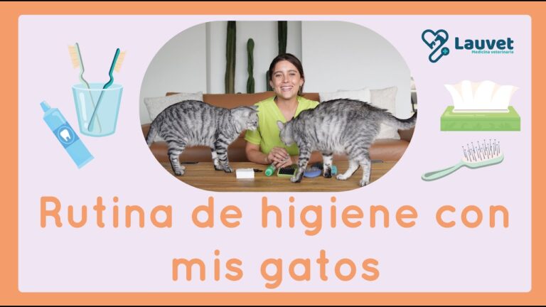 Rutina Efectiva de Cepillado para la Higiene de Mascotas
