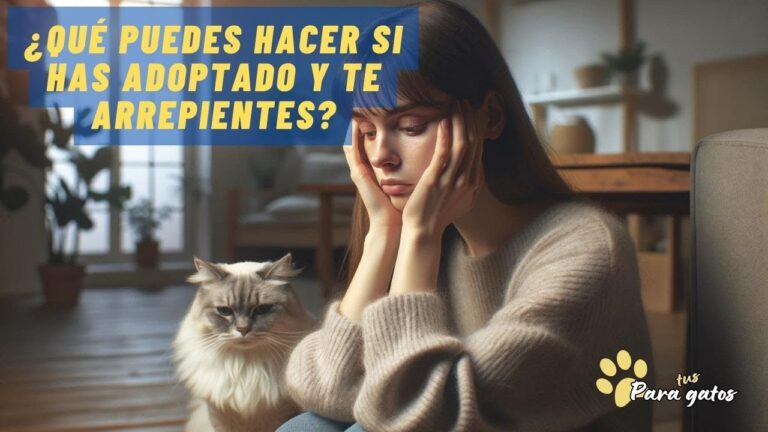Consejos Pr&aacute;cticos para una Adopci&oacute;n de Animales Exitosa y Positiva