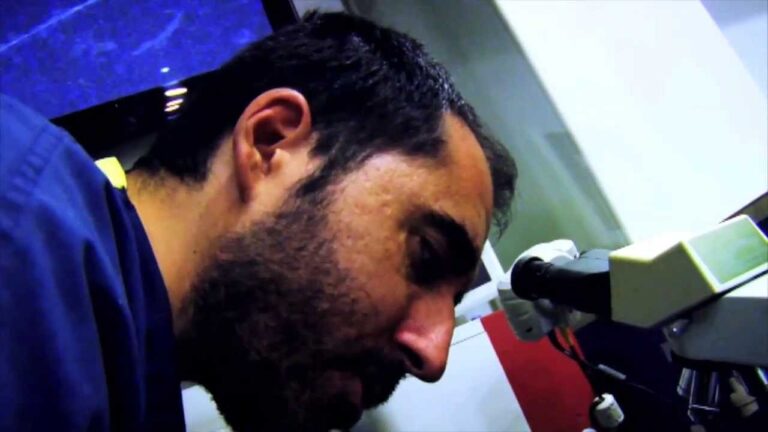 Recomendaciones Veterinarias para la Esterilizaci&oacute;n de Animales Ex&oacute;ticos