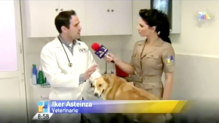 Consejos Veterinarios para Emergencias con Mascotas
