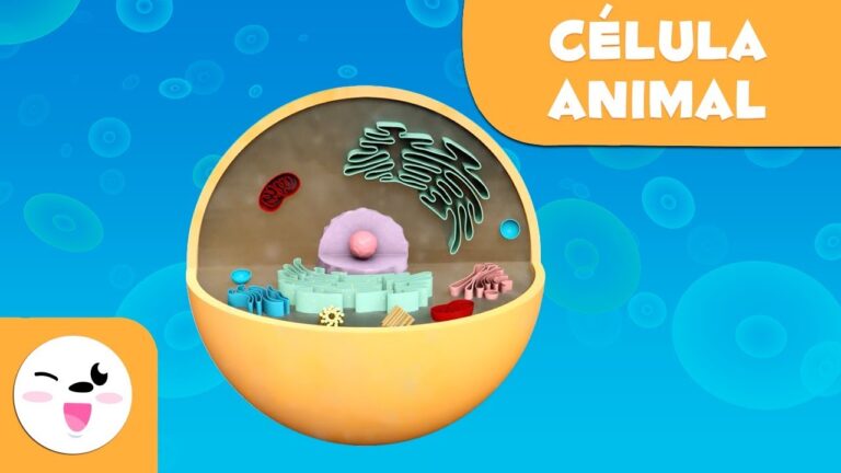 El Ejercicio: Clave en la Vida de los Mamíferos Pequeños